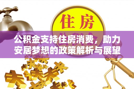 生活公积金支持住房消费，助力安居梦想的政策解析与展望