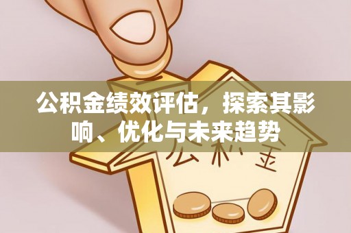 生活公积金绩效评估，探索其影响、优化与未来趋势