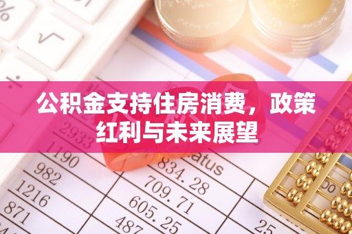 生活公积金支持住房消费，政策红利与未来展望