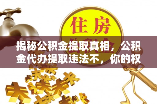 生活揭秘公积金提取真相，公积金代办提取违法不，你的权益如何保障？