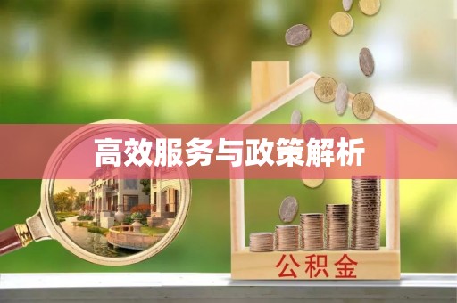生活高效服务与政策解析