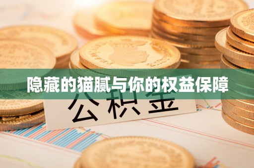 生活隐藏的猫腻与你的权益保障